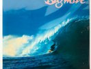 LP TATSURO YAMASHITA ”Big Wave” 1984 CITY POP MOON VINYL 28019