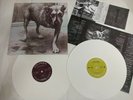 * * ALICE IN CHAINS ** 3 leg dog . Rare vinyl lp record.facelift .mtv.jar.grunge