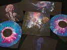 Blut aus Nord - Hallucinogen - Slipcase Gatefold double tri colour Vinyl +insert