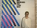 Noel Gallaghers High Flying Birds Where The City Meets The Sky Coloured Vinyl