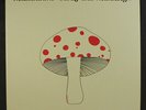 MUSHROOM: early one morning AKARMA 12