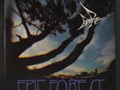 RARE BIRD: epic forest POLYDOR 12