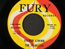 STARLITES: ain't cha' ever coming home / silver lining FURY 7