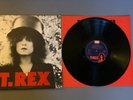 T-REX - THE SLIDER 12