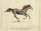 A  Long Way from Your Heart * by Turnpike Troubadours (Vinyl, Oct-2017,...