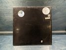 Les Rallizes Denudes ?– Tachikawa 12th March 1977 Vinyl Record LP Album V6E400LP