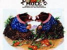 ID28z - Matching Mole - Matching Mole - vinyl lp - New