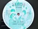 Junior Delgado - Time To Work - Reggae Roots 12