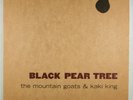 THE MOUNTAIN GOATS & KAKI KING Black Pear Tree ORIGINAL 2008 VINYL EP