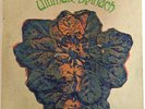 Ultimate Spinach - (Self Titled) Vinyl LP Record - RARE - PSYCH
