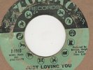 Ruby Andrews Just Loving You Zodiac Soul Northern motown