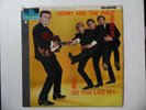Gerry and the Pacemakers - How Do You Like It LP Vinyl Record