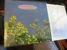 1ST PRESS 2 X LP VINYL RECORD ALBUM-THE GO-BETWEENS-1978-1990-BEGGARS BANQUET-NM
