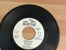THE AD LIBS JOHNY MY BOY   BLUE CAT DEMO