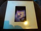 THE HOMOSEXUALS - THE HOMOSEXUALS' RECORD + INSERT - VERY GOOD++