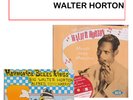 HARMONICA BLUES  WALTER HORTON 2 x vinyl