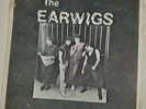 The Earwigs - She's So Naive 1982 Punk Rock Alt Cover RARE