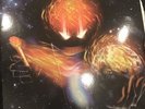 Arsonists As the world Burns Double LP Original Pressing