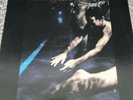 Siouxsie And The Banshees THE SCREAM LP Vinyl 1978  Polydor