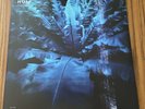 HUM: Downward Is Heavenward, Blue Vinyl, MINT