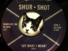 The HUNTSMEN So Long / Say What I Want 45 Shur Shot GARAGE ROCK