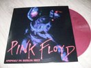 PINK FLOYD RARE LP COULEUR ANIMALS IN BERLIN EXC. ETAT