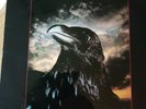 The Stranglers - The Raven Vinyl LP. Vinyl in MINT CON.