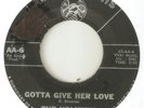 THE VOLUMES Gotta Give Her Love AMERICAN ARTS DETROIT NORTHERN SOUL USA 45
