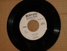 Rockabilly   The Skee Brothers