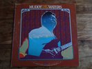 MUDDY WATERS Unk In Funk USA CHESS 1977 RE-ISSUE VINYL LP