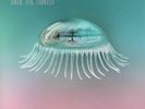 Until the Hunter [LP] Hope Sandoval & The Warm Inventions Vinyl