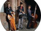 LIVE AT THE ROXY 1981 (PICTURE - STRAY CATS