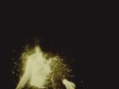 Wolf Alice: My Love Is Cool :LP vinyl: