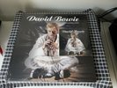 David Bowie - LIVEANDWELL.COM - 2x LP Vinyl - Brilliant Live Adventures 3 & CD