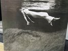 Undercurrent by EVANS,BILL & HALL,JIM Open Unplayed