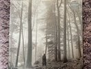 Taylor Swift - Folklore #1  “in the trees” Limited Ed Light brown Vinyl  SEALED