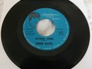 VINNIE BASILE - GYPSY GIRL  DAVY JONES PRESENTS - RARE US PROMO SINGLE