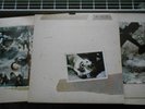 Fleetwood Mac Tusk Double Vinyl Record LP