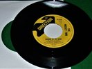 THE MICKEY FINN: Garden Of My Mind / Time To Start Loving You MINT NEW Reissue