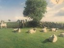 The KLF - Chill Out LP 1990 (JAMS LP5)