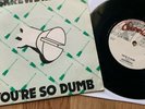 blackpool band isd you're so dumb punk uk82 oi vinyl