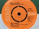 Dana Gillespie Andy Warhol UK 7” 45 Paper Label David Bowie