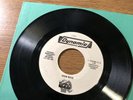THE DOGS 45 John Rock 1976 Michigan Garage Punk KBD MC5 Dynamic