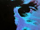 CJ Bolland - The Prophet (12