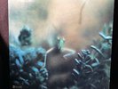 STEELY DAN - KATY LIED - RARE 1975 WHITE LABEL PROMO - DONALD FAGAN - NO RESERVE
