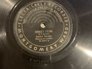 THE CARTER FAMILY: Sweet Fern / Lulu Wall on MONTGOMERY WARD 78 solid E