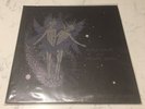 Animal Collective  - Spirit Theyre Gone Spirit Theyve Vanished Vinyl 2xLP