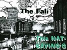 THE FALL - THIS NATIONS SAVING GRACE