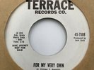 Ronnie Cates 45 RPM Record Long Time For My Very Own Terrace Records Promo VG+