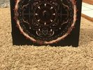 Amaryllis Shinedown Vinyl